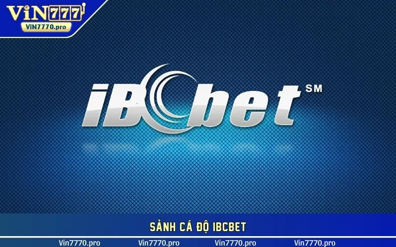 Sảnh cá độ IBCBET