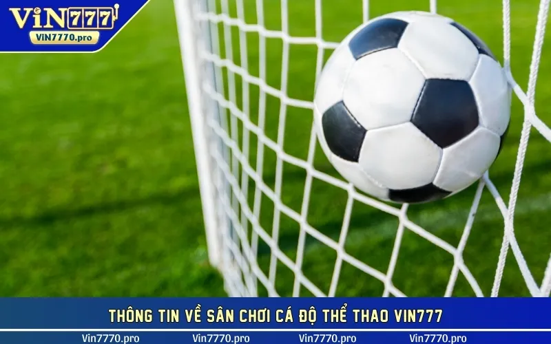 Thông tin về sân chơi cá độ thể thao VIN777