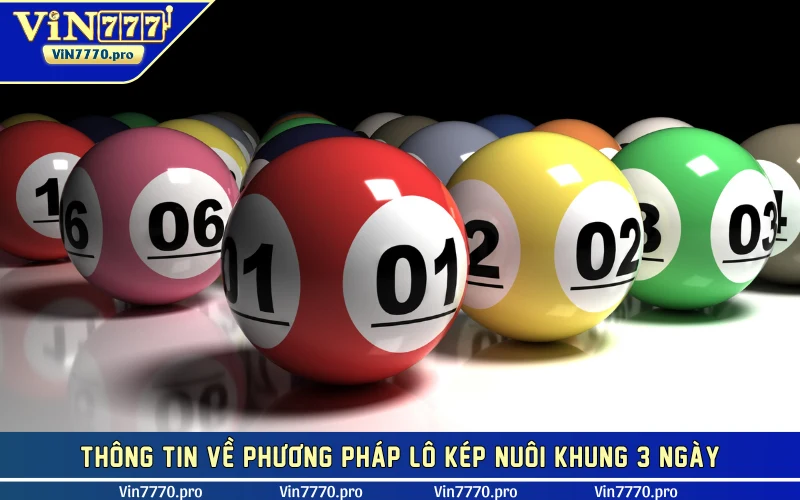 Thông tin về phương pháp lô kép nuôi khung 3 ngày